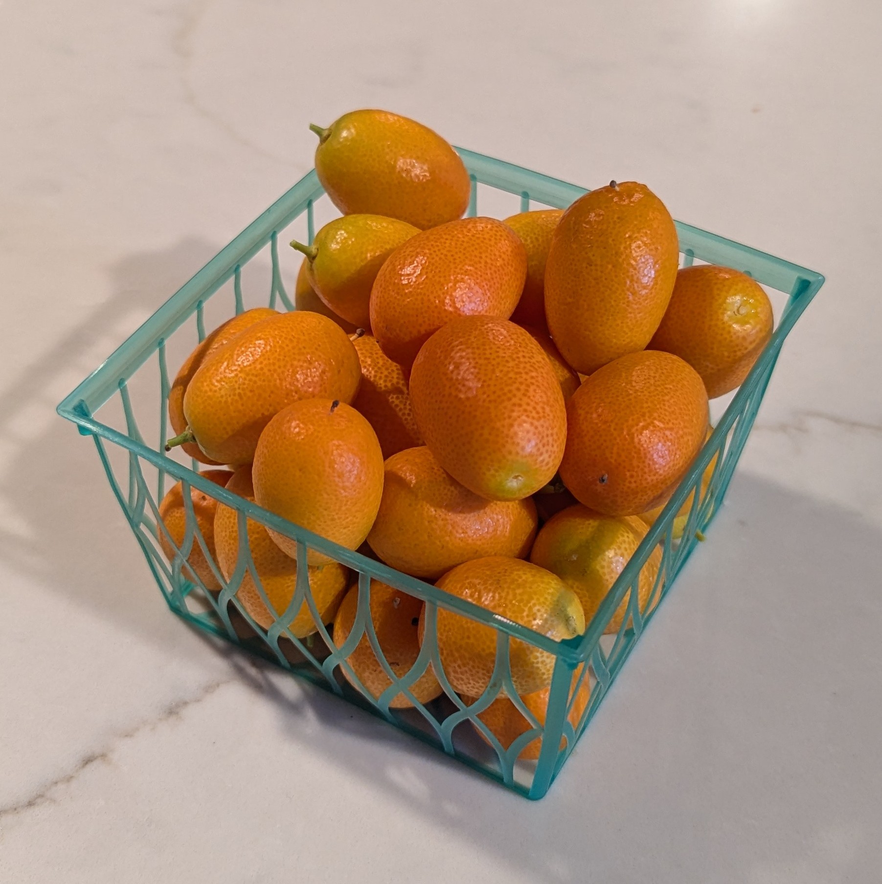 Kumquat